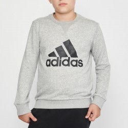 Adidas Essentials Big Logo (GS4273) Юношески Суичър