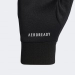 Adidas Terrex AEROREADY Gloves (HB6243) Unisex