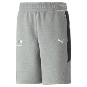 BMW M Motorsport Sweat Shorts Men (538134 03)