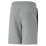 BMW M Motorsport Sweat Shorts Men (538134 03)