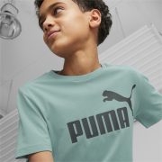 Puma EESS Logo Tee B (586960 84) Юношеска тениска