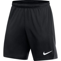 Nike Academy Pro (DH9236 014)