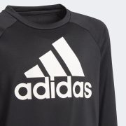 Adidas Designed To Move Big Logo (GN1482) Юношески Суичър