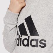 Adidas Essentials Big Logo (GS4273) Юношески Суичър