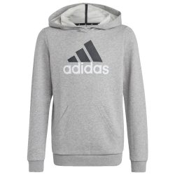   Adidas Big Logo Essentials (HB4362) Юношески Суичър