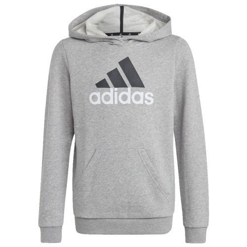 Adidas Big Logo Essentials (HB4362) Юношески Суичър