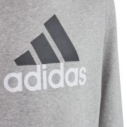 Adidas Big Logo Essentials (HB4362) Юношески Суичър