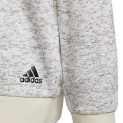 Adidas Future Icons 3-Stripes (HE1926) Юношески Суичър