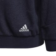 Adidas Future Icons 3-Stripes (HE1929) Юношески Суичър