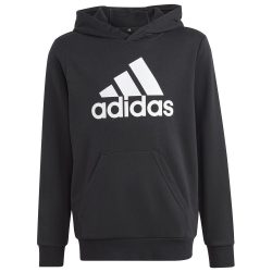   Adidas Big Logo Essentials (HR6380) Юношески Суичър