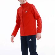 Adidas Essentials Big Logo (IC5684) Юношески анцуг