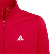 Adidas Essentials Big Logo (IC5684) Юношески анцуг