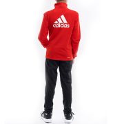 Adidas Essentials Big Logo (IJ6305) Юношески анцуг