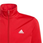 Adidas Essentials Big Logo (IJ6305) Юношески анцуг