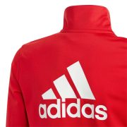 Adidas Essentials Big Logo (IJ6305) Юношески анцуг